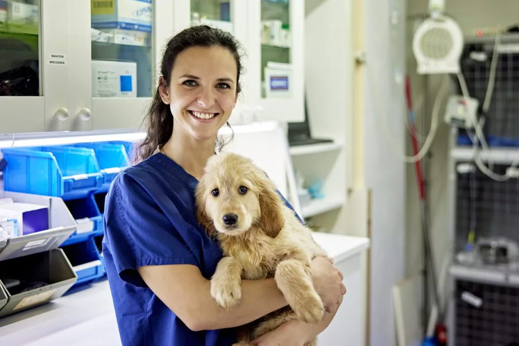 what-does-a-veterinary-technician-do-buffalo-grove-animal-hospital