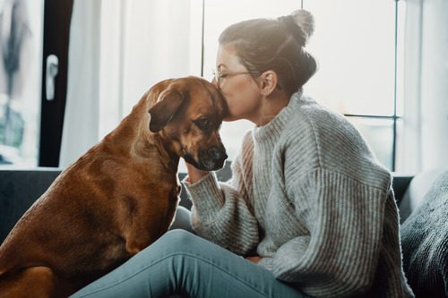 female-pet-owner-kissing-dog's-head-while-they-both-sit-on-the-couch