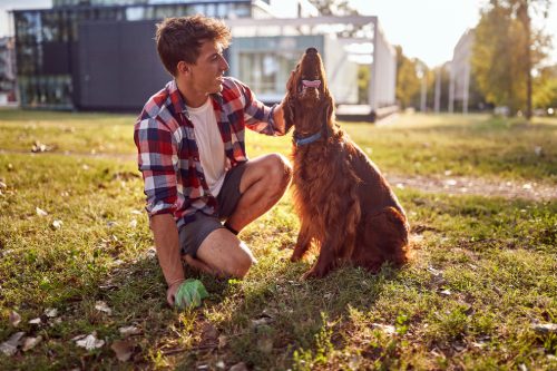 young man picking up his dog's poop in the backyard