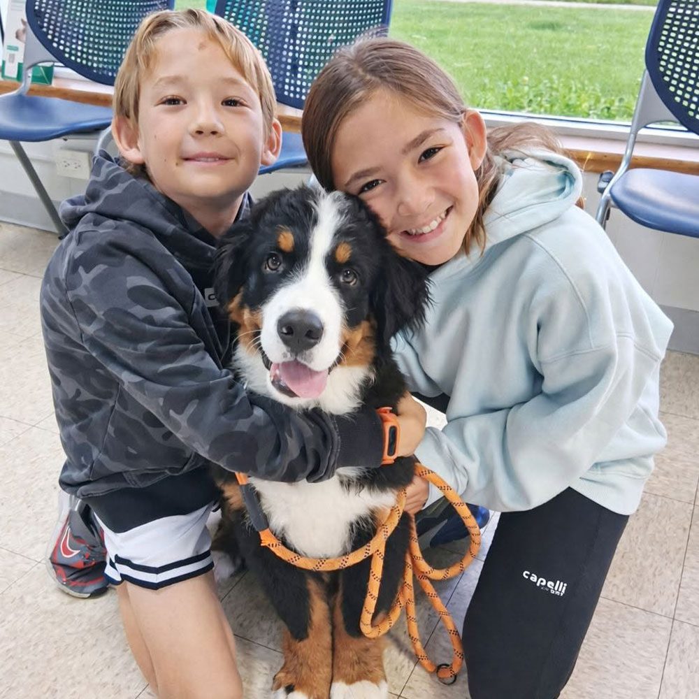 two children posing and hugging australian shepherd puppy